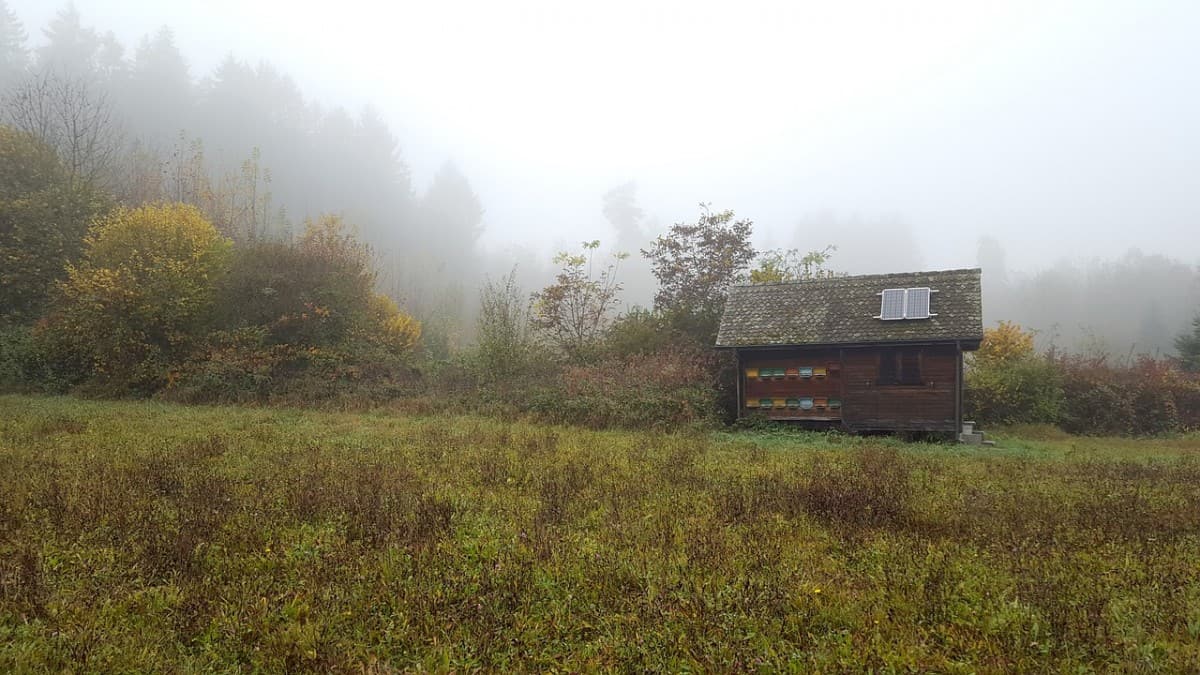 small cabin with solar panel on a foggy morning